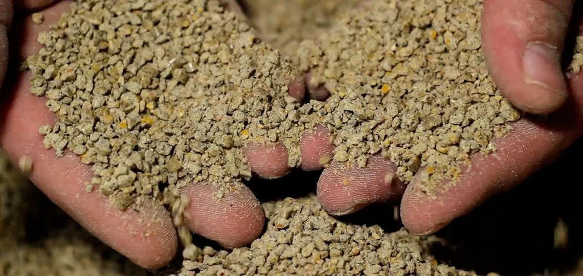 Комбикорм для цыплят