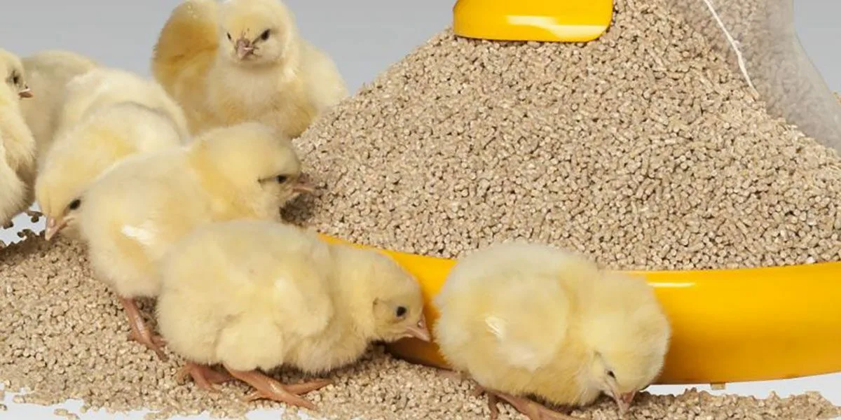 Комбикорм для цыплят с первых дней жизни